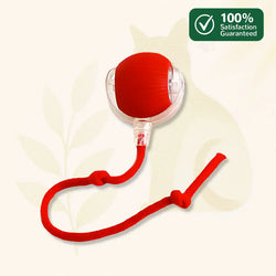 Automatic Interactive Cat Toy - Pawball
